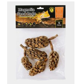 GAL MAGNOLIA SEED PODS NAT 5PK